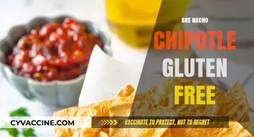 Are Nacho Chipotle Gluten-Free? A Complete Guide to Your Snack