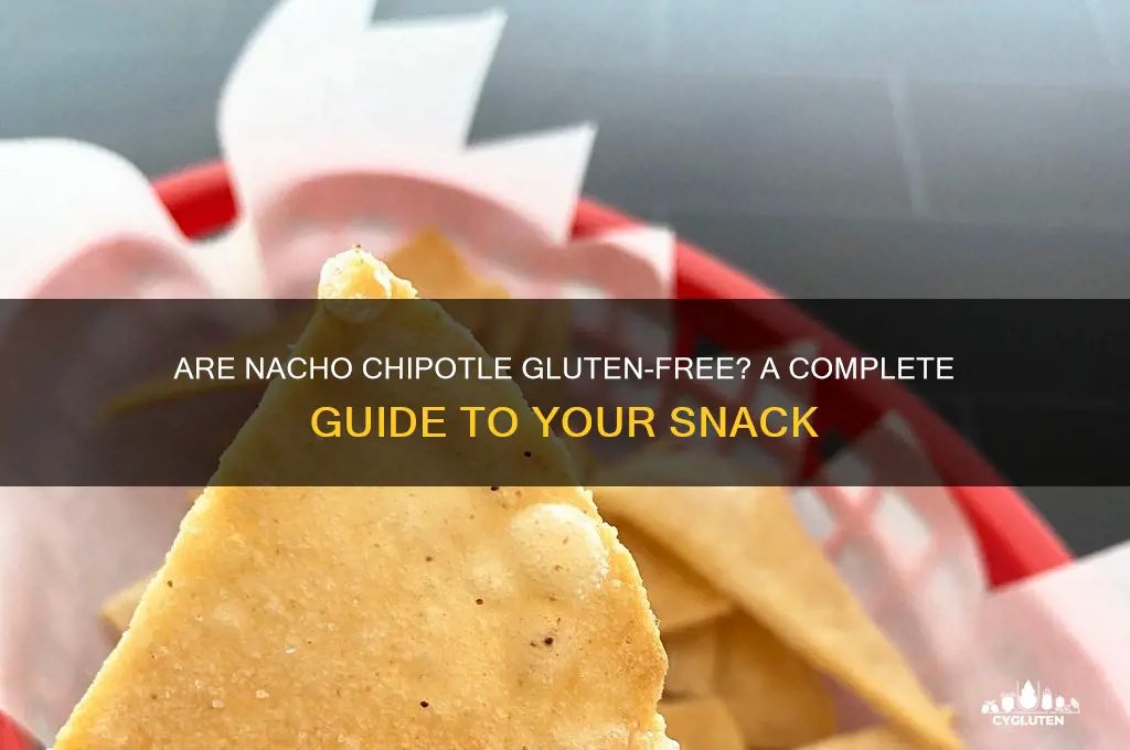 are nacho chipotle gluten free