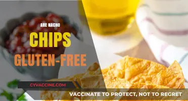 Are Nacho Chips Gluten-Free? A Crunchy Snack Fact Check