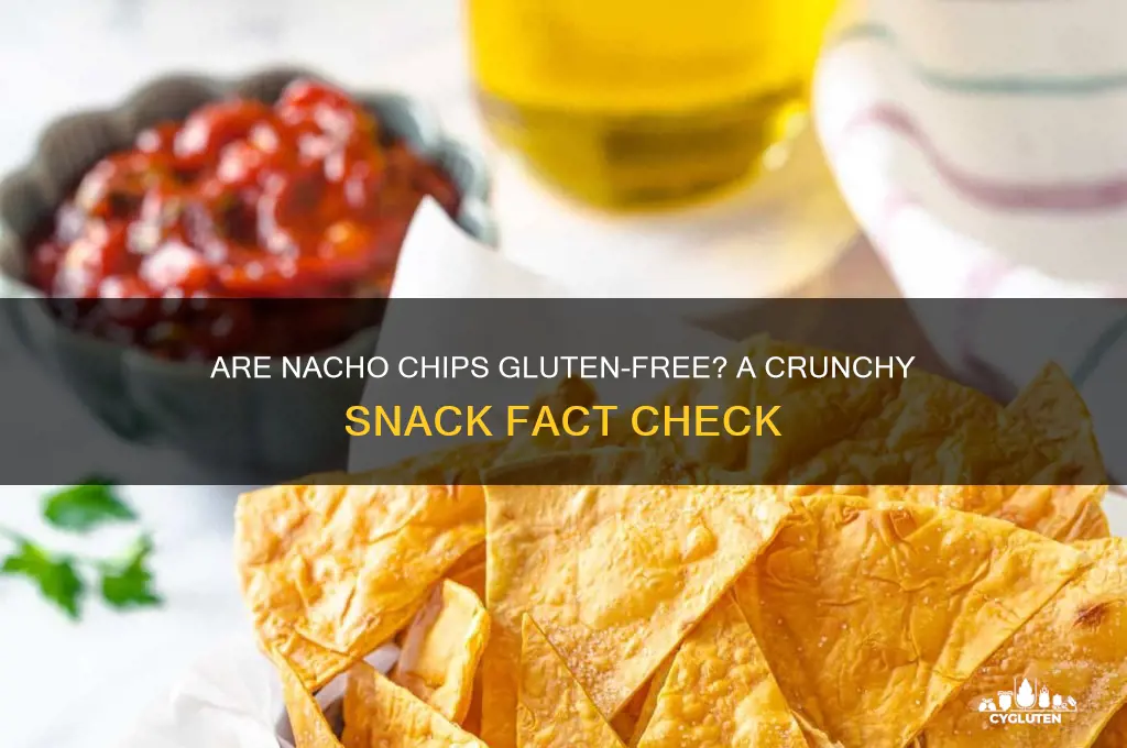 are nacho chips gluten-free