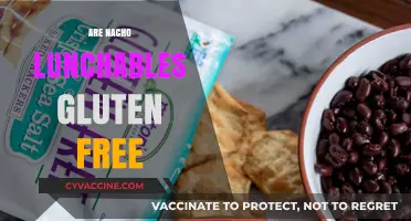Are Nacho Lunchables Gluten-Free? A Complete Guide for Celiacs