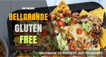 Are Nachos BellGrande Gluten-Free? A Complete Guide for Celiacs