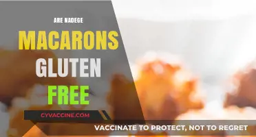 Are Nadège Macarons Gluten-Free? A Sweet Answer Revealed