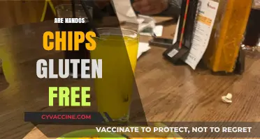 Are Nando's Chips Gluten-Free? A Complete Guide for Diners