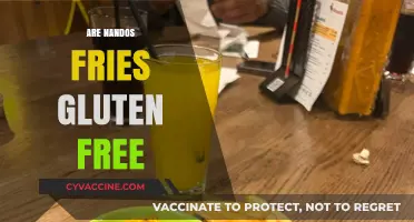 Are Nando's Fries Gluten-Free? A Complete Guide for Celiac Diners