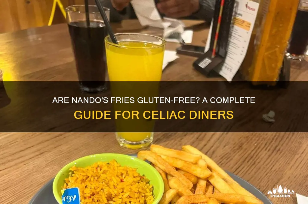 are nandos fries gluten free