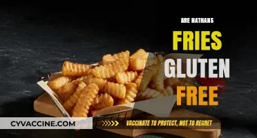 Are Nathan's Fries Gluten-Free? A Complete Guide for Celiac Diners
