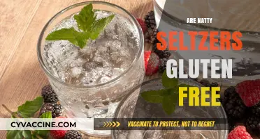 Are Natty Seltzers Gluten-Free? A Complete Guide to Ingredients