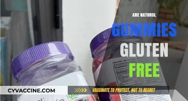 Are Naturol Gummies Gluten-Free? A Comprehensive Guide for Consumers