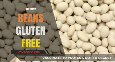Are Navy Beans Gluten-Free? A Clear Answer for Your Diet