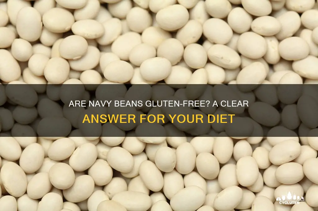 are navy beans gluten free