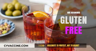 Are Negronis Gluten-Free? Exploring the Classic Cocktail's Ingredients