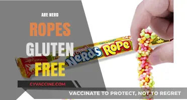 Are Nerd Ropes Gluten-Free? A Sweet Snack Fact Check