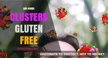 Are Nerds Clusters Gluten Free? A Sweet Snack Fact Check