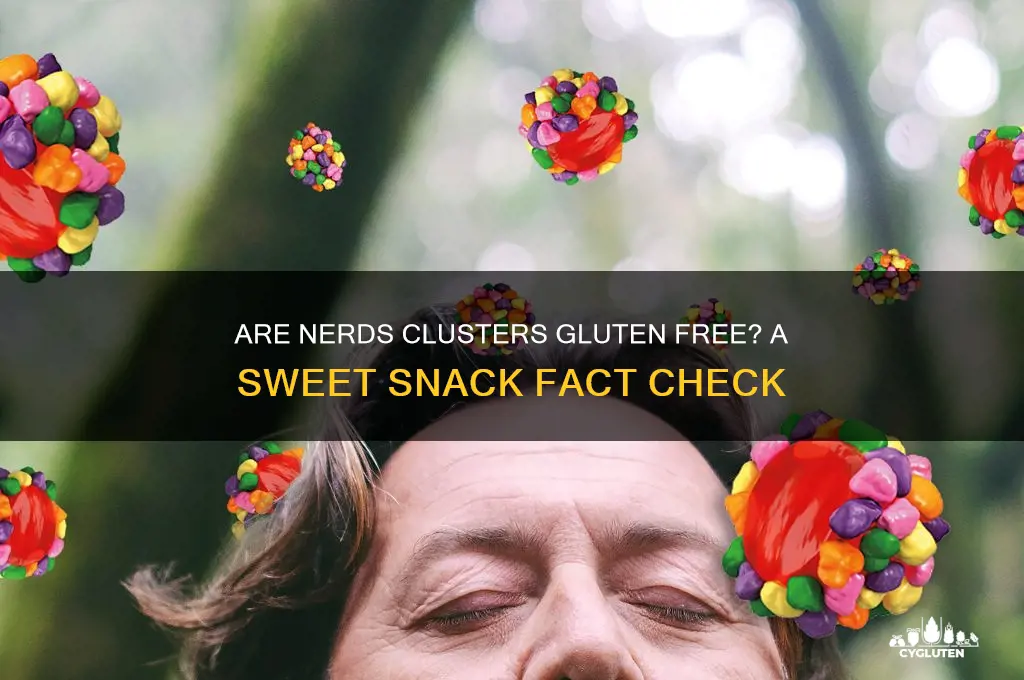 are nerds clusters gluten free