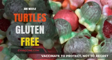 Are Nestlé Turtles Gluten-Free? A Comprehensive Guide for Snack Lovers