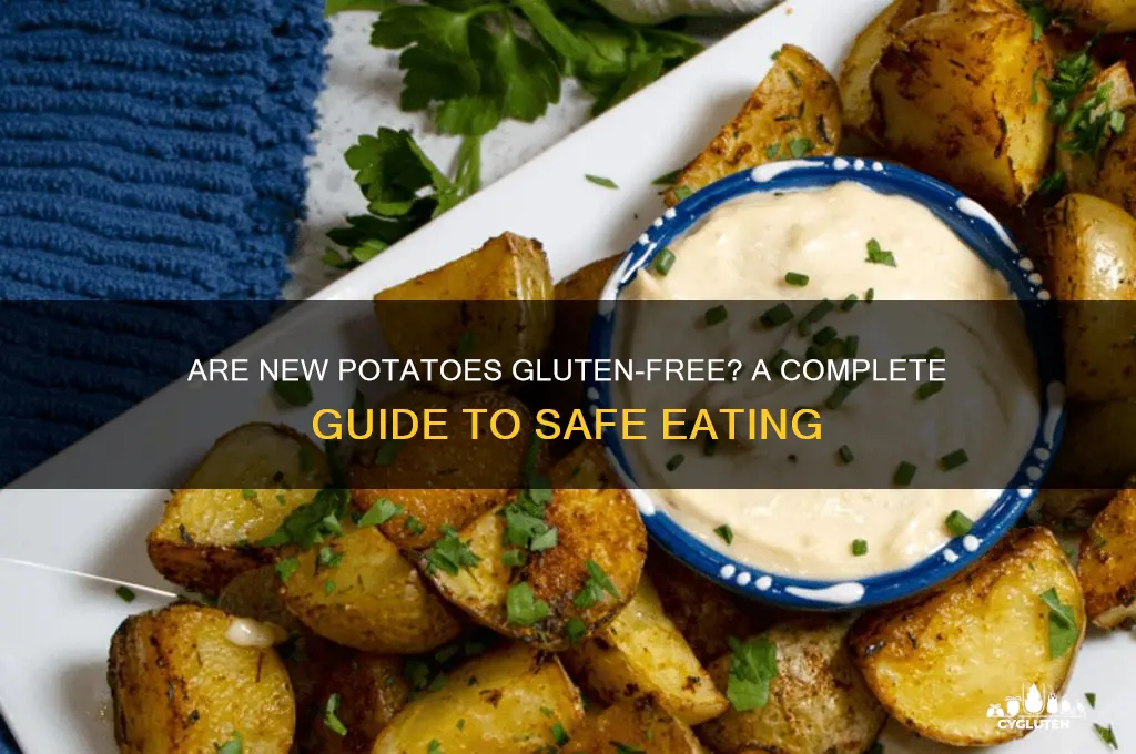 are new potatoes gluten free