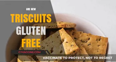 Are New Triscuits Gluten-Free? Uncovering the Truth for Snack Lovers