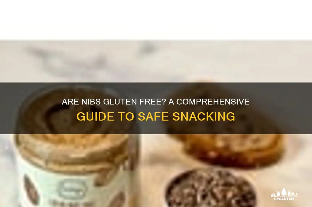are nibs gluten free