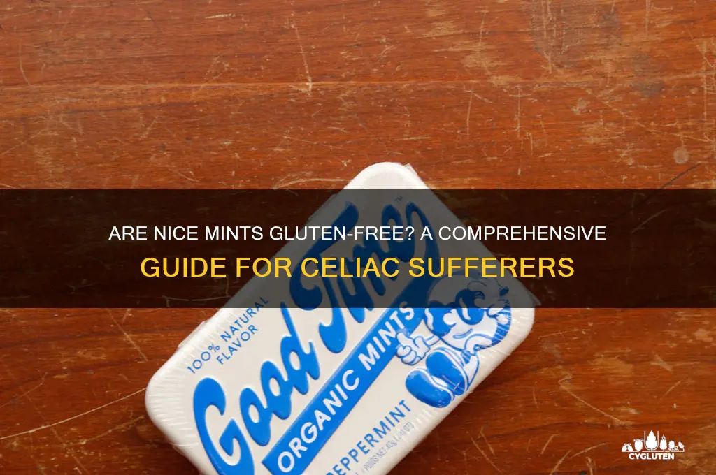are nice mints gluten free
