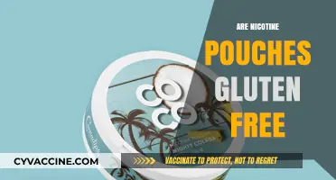 Are Nicotine Pouches Gluten-Free? A Comprehensive Guide for Users