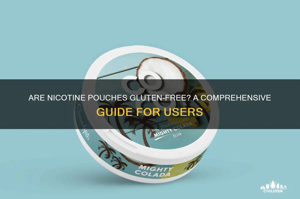 are nicotine pouches gluten free