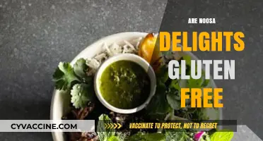 Are Noosa Delights Gluten-Free? A Complete Guide for Dietary Needs