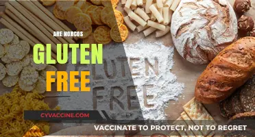 Are Norcos Gluten-Free? Exploring Ingredients and Safety for Celiac Patients