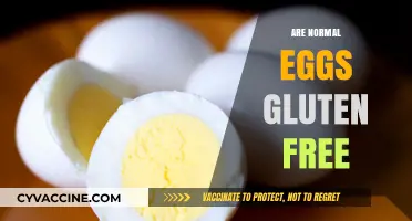 Are Regular Eggs Gluten-Free? Unraveling the Truth for Celiac Diets
