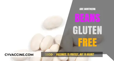 Are Northern Beans Gluten-Free? A Complete Guide to Safe Eating