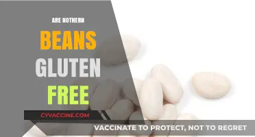 Are Northern Beans Gluten-Free? A Clear and Simple Answer