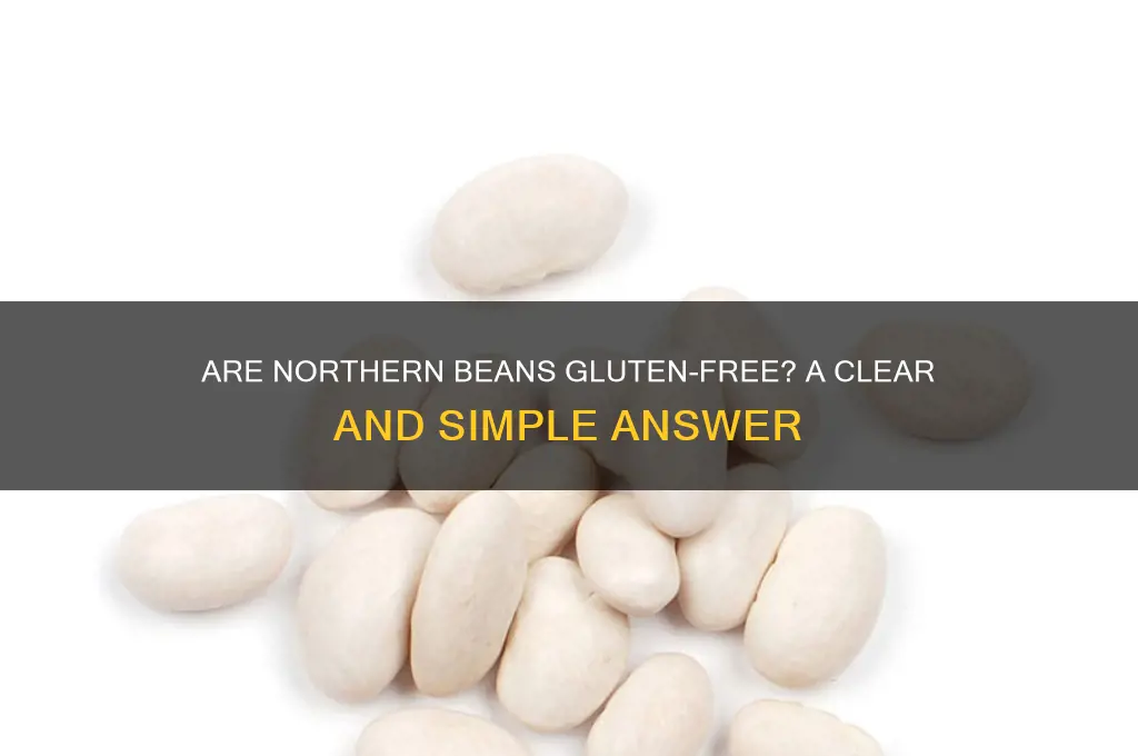 are nothern beans gluten free