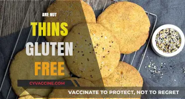 Are Nut Thins Gluten-Free? Uncovering the Truth for Snack Lovers