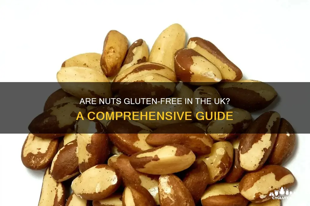 are nuts gluten free uk