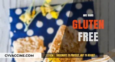 Are Oars Gluten Free? Unraveling the Myth for Boaters