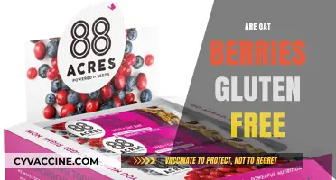 Are Oat Berries Gluten-Free? Unraveling the Truth for Celiacs