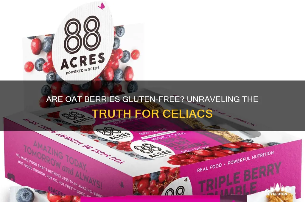 are oat berries gluten free