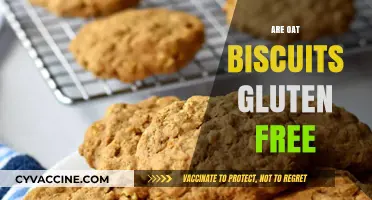 Are Oat Biscuits Gluten-Free? Understanding Oats and Gluten Sensitivity