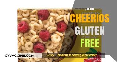 Are Oat Cheerios Gluten-Free? A Clear Answer for Celiac Diets