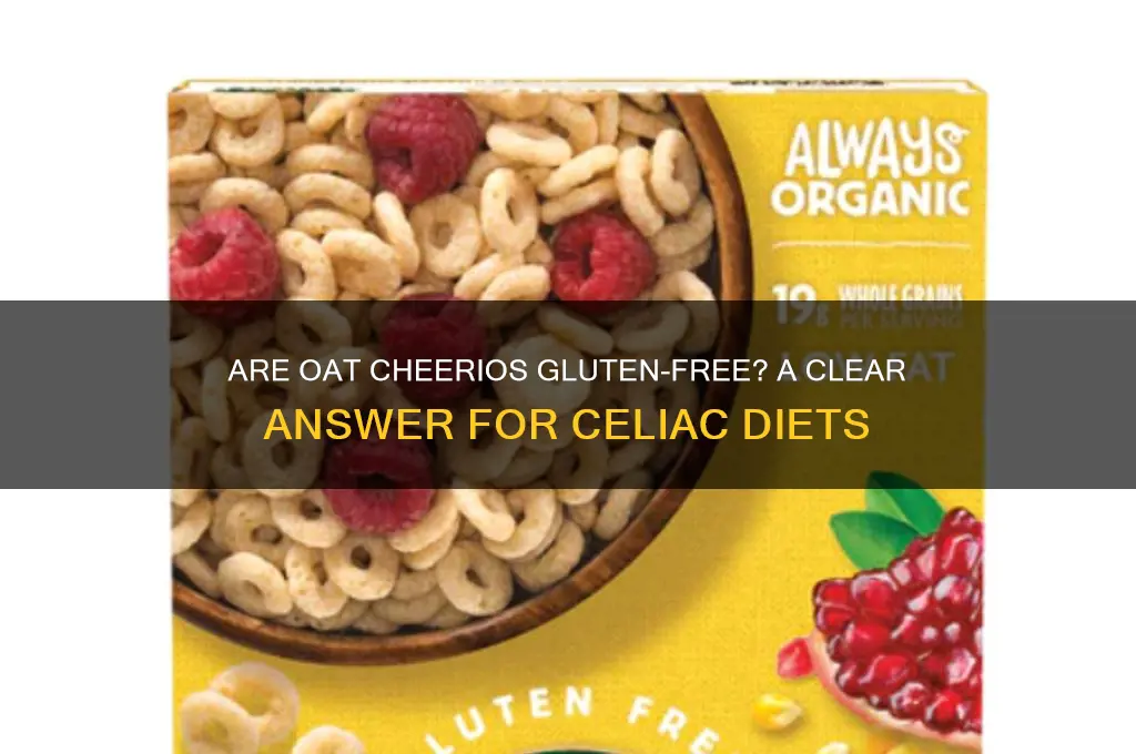 are oat cheerios gluten free