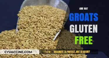 Are Oat Groats Gluten-Free? Unraveling the Truth for Celiacs