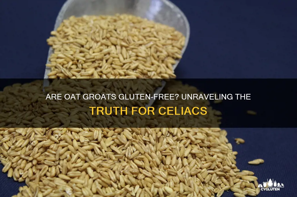 are oat groats gluten free
