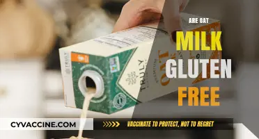 Is Oat Milk Gluten-Free? Unraveling the Truth for Celiac Diets