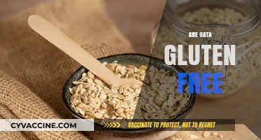 Are Oats Gluten-Free? Unraveling the Truth for Celiac Diets