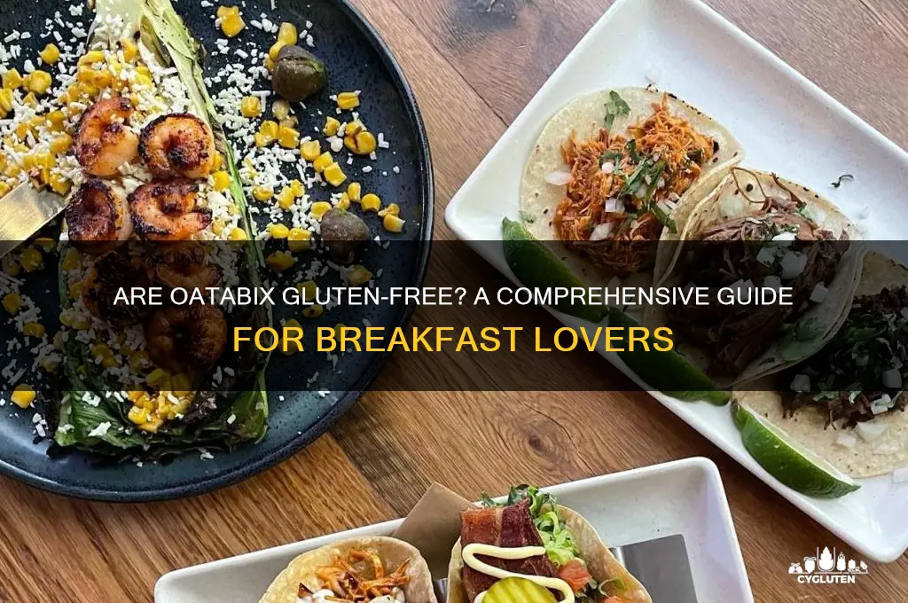 are oatabix gluten free