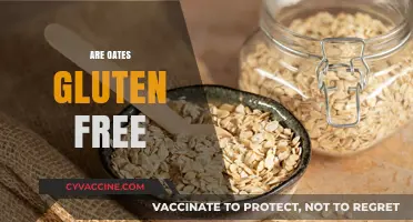 Are Oats Gluten-Free? Unraveling the Truth for Celiac Diets