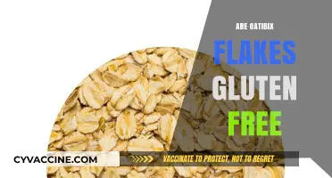 Are Oatibix Flakes Gluten-Free? A Comprehensive Guide for Celiacs