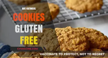 Are Oatmeal Cookies Gluten-Free? Unraveling the Truth for Dietary Needs