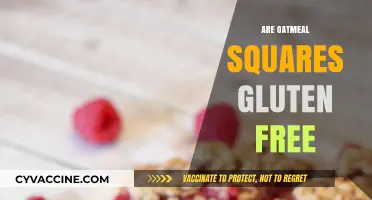 Are Oatmeal Squares Gluten-Free? A Comprehensive Guide for Celiacs