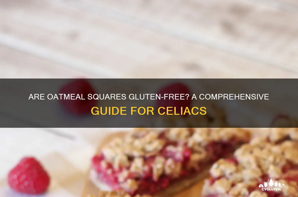are oatmeal squares gluten free